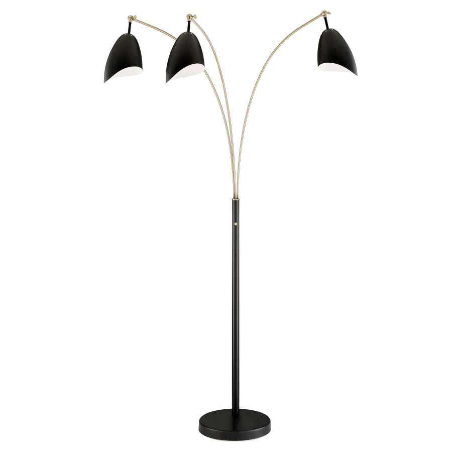 Lite Source LS 83652AB BLK Tanko 82 Tall Tree Floor Lamp Build
