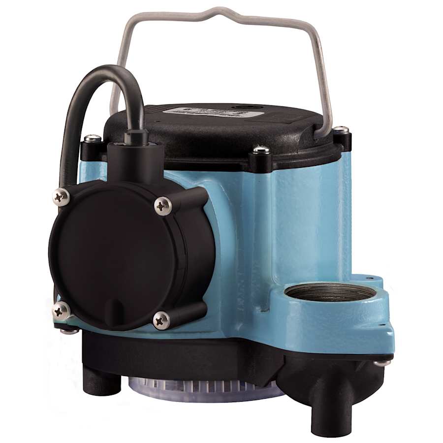 little_giant_506266_2