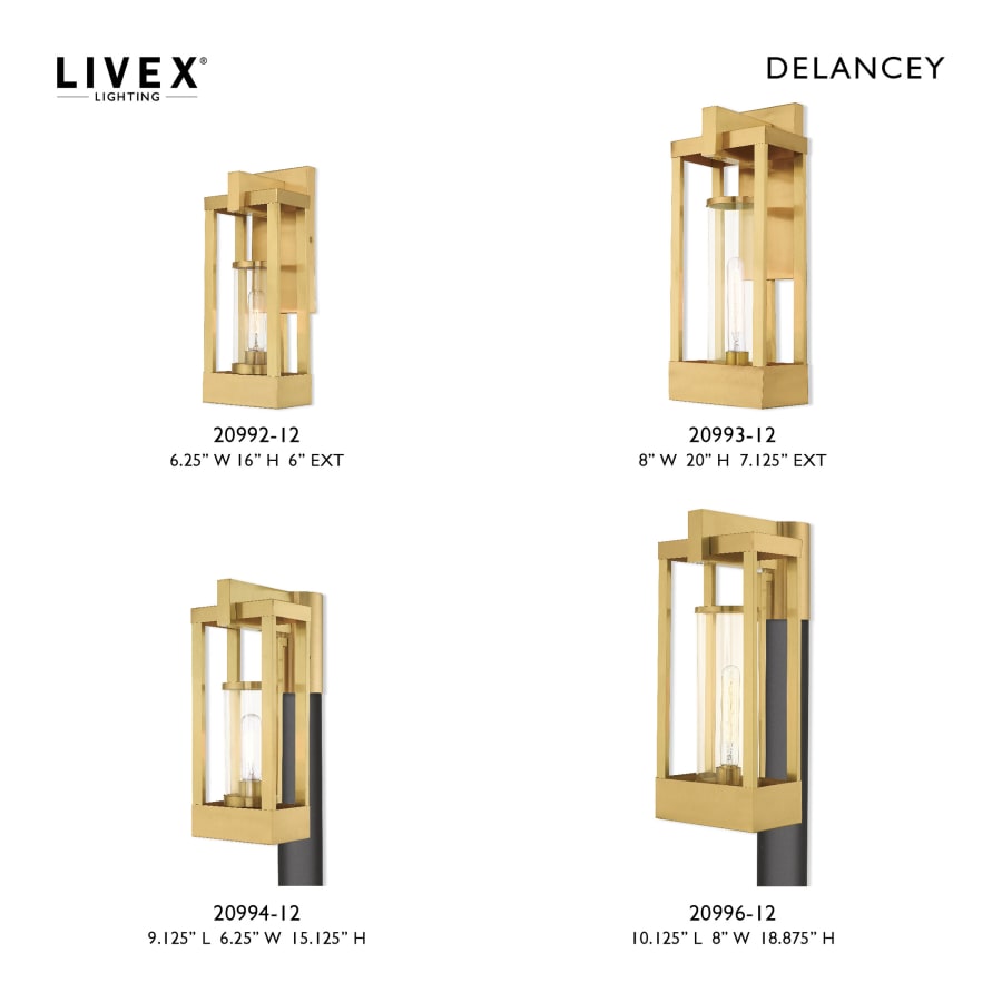 Livex Lighting 20992-04 Delancey Single Light 16