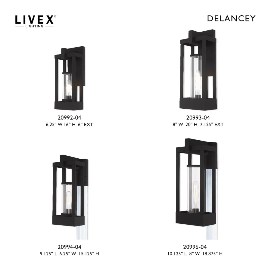 Livex Lighting 20996-04 Delancey Single Light 19