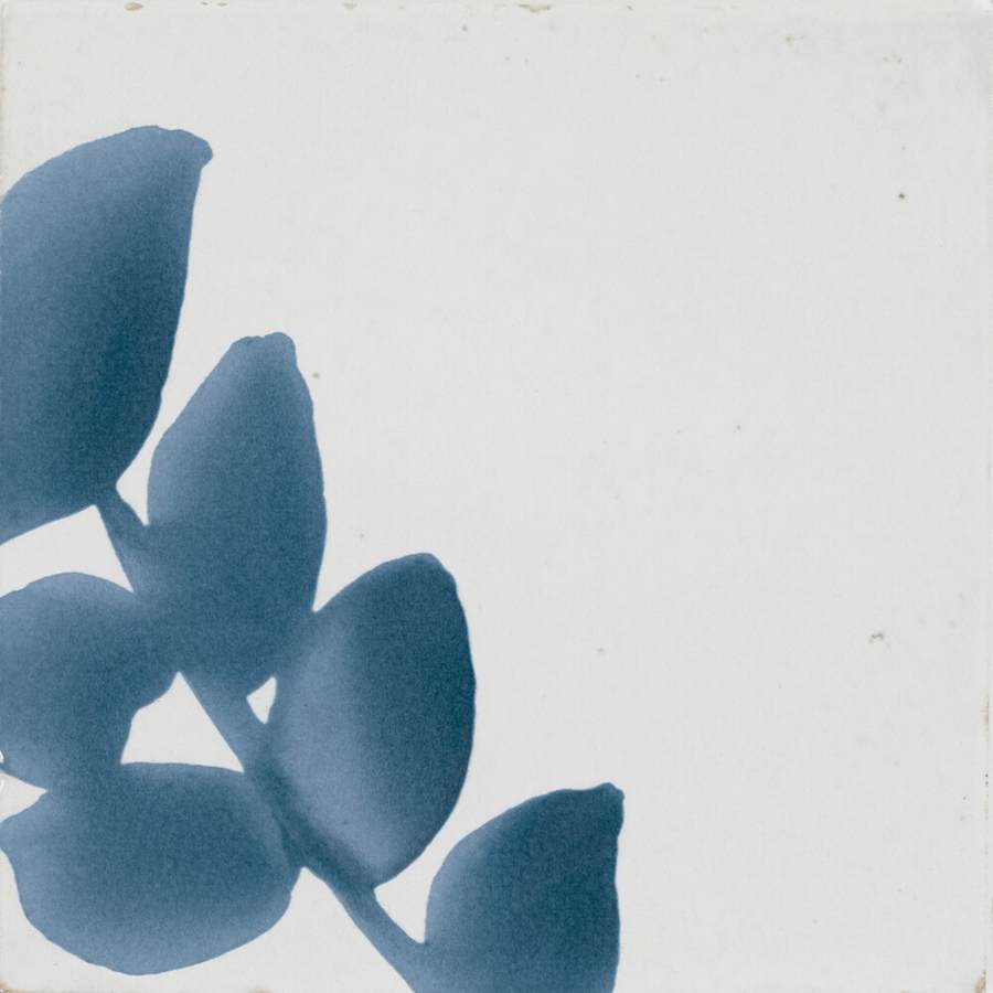 marazzi-rcsqu66gl-fl-alternate-image-217