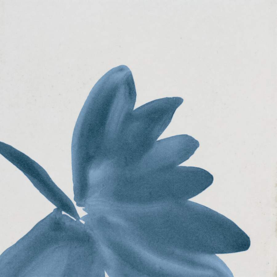 marazzi-rcsqu66gl-fl-alternate-image-219