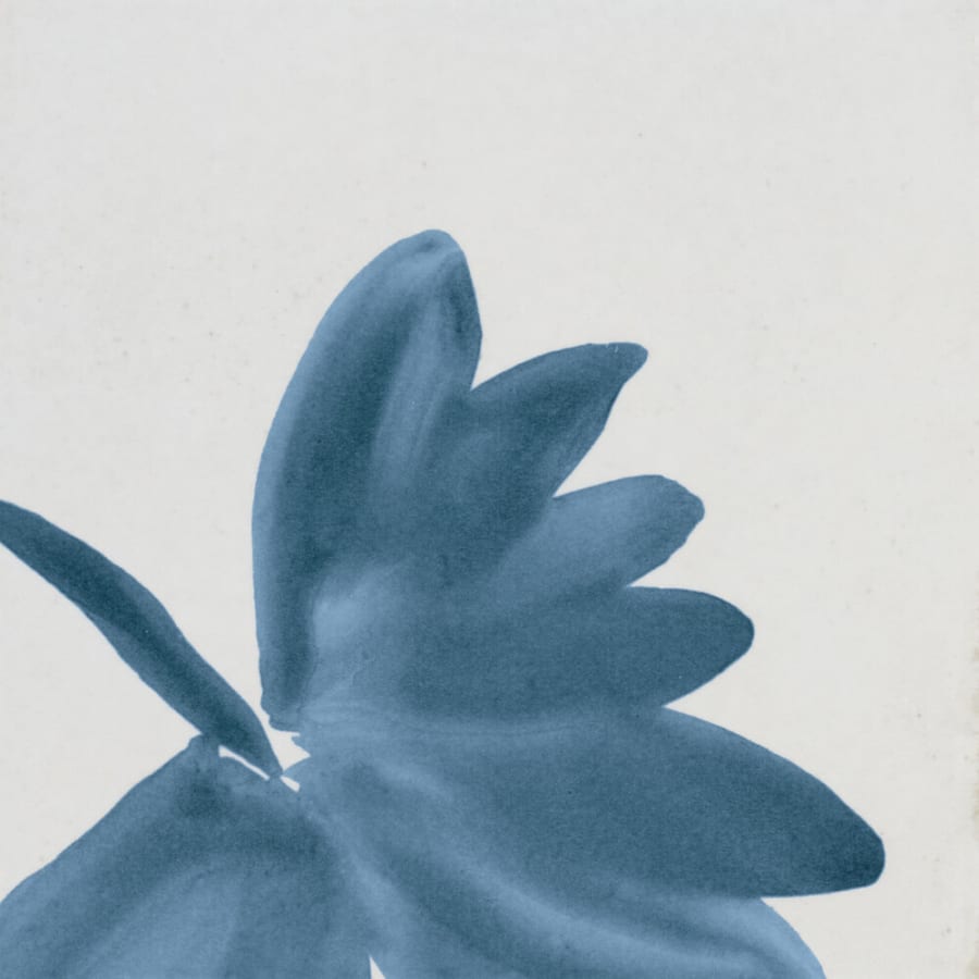 marazzi-rcsqu66gl-fl-alternate-image-219 marazzi-rcsqu66gl-fl-alternate-image-219