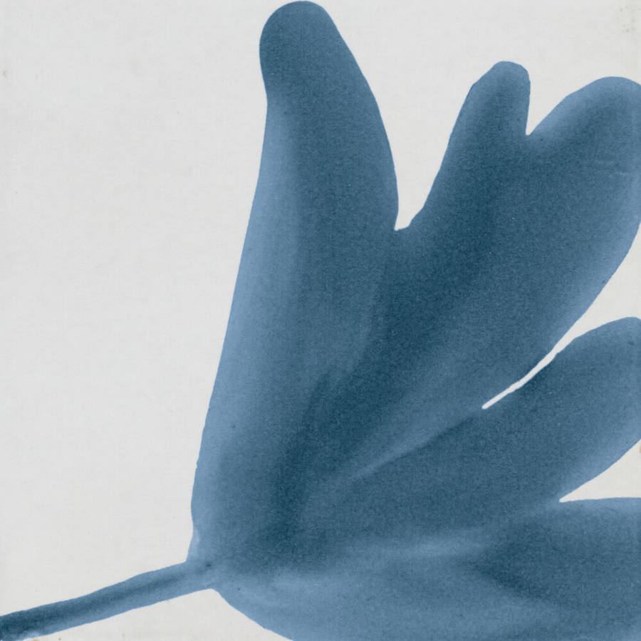 marazzi-rcsqu66gl-fl-alternate-image-220