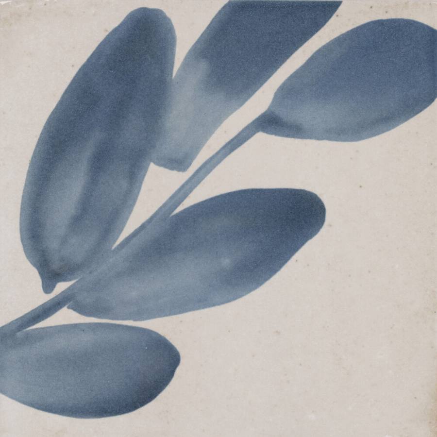 marazzi-rcsqu66gl-fl-alternate-image-230