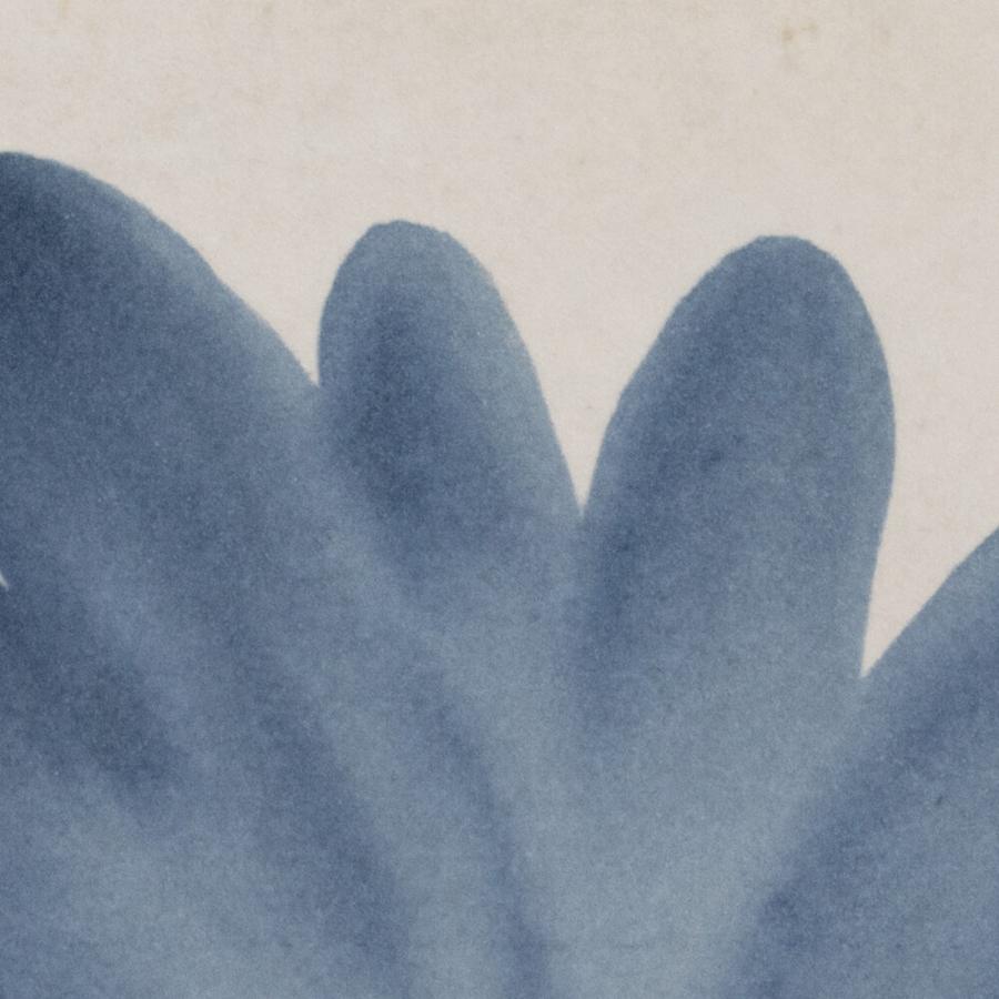 marazzi-rcsqu66gl-fl-alternate-image-233