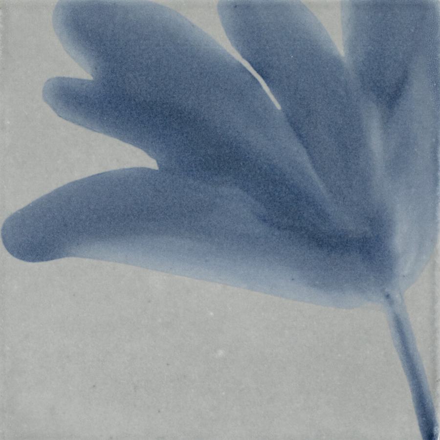 marazzi-rcsqu66gl-fl-alternate-image-238