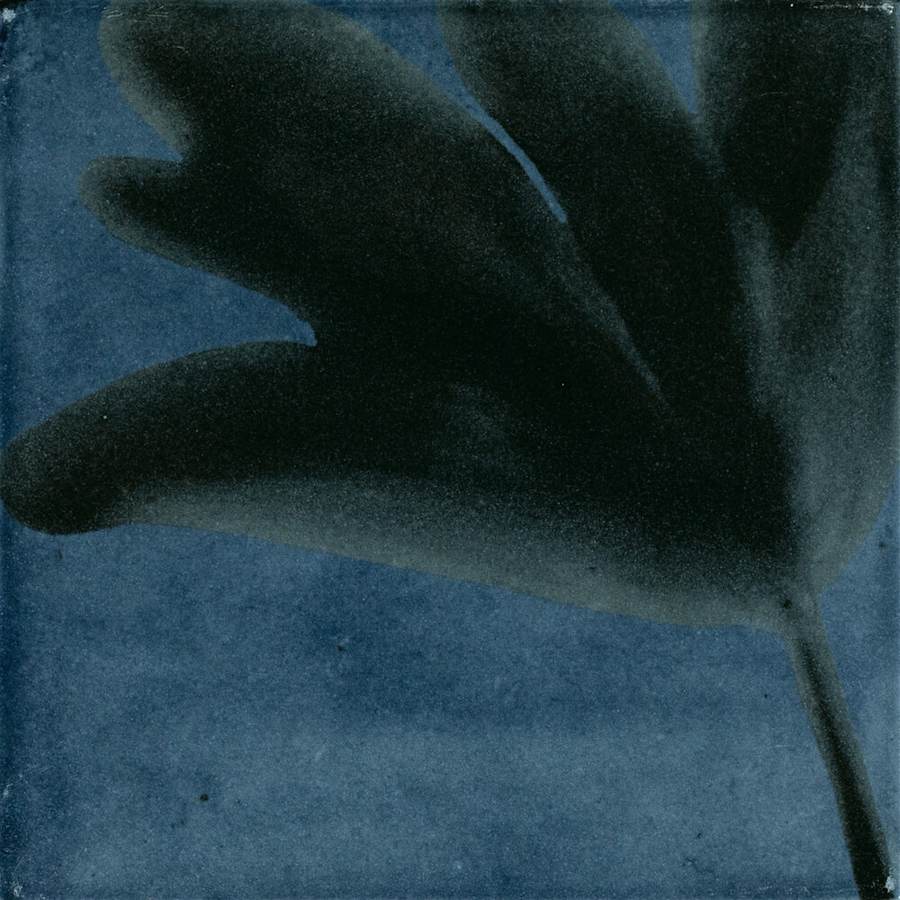 marazzi-rcsqu66gl-fl-alternate-image-248