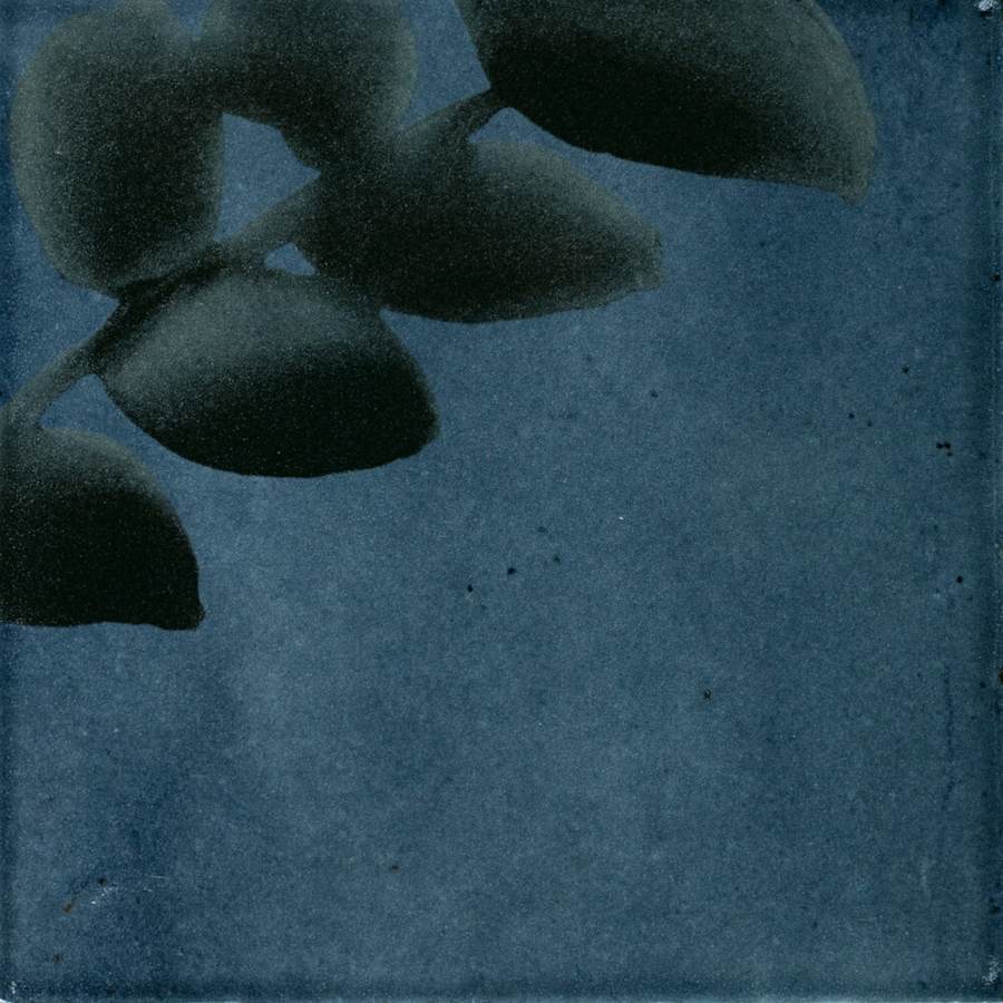 marazzi-rcsqu66gl-fl-alternate-image-250