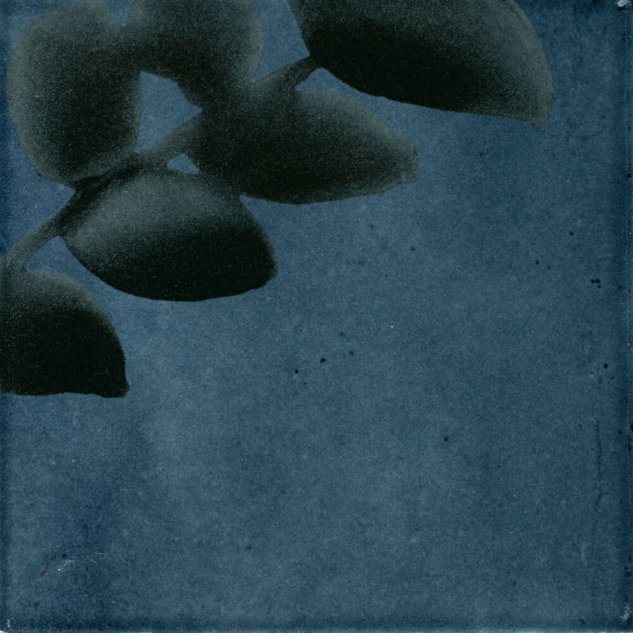 marazzi-rcsqu66gl-fl-alternate-image-250 marazzi-rcsqu66gl-fl-alternate-image-250