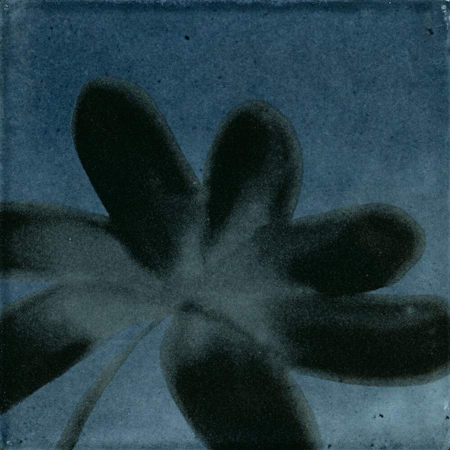 marazzi-rcsqu66gl-fl-alternate-image-251