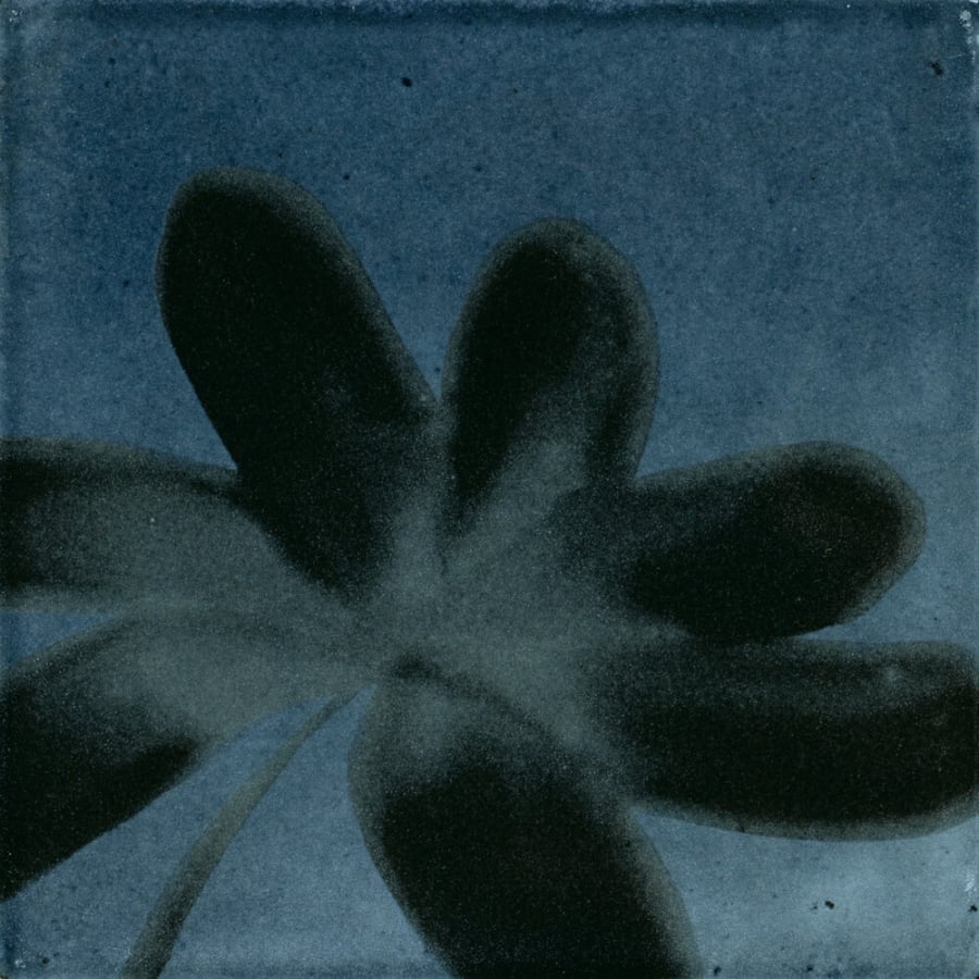 marazzi-rcsqu66gl-fl-alternate-image-251 marazzi-rcsqu66gl-fl-alternate-image-251