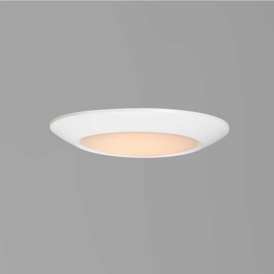 Maxim diverse led sale