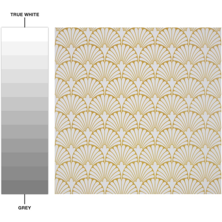 merola-tile-fai12ad-alternate-image-19 merola-tile-fai12ad-alternate-image-19