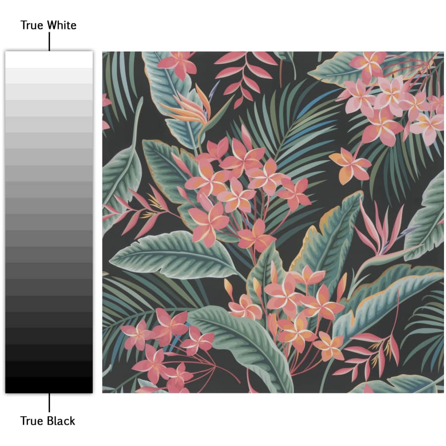 merola-tile-fim19b-alternate-image-1382 merola-tile-fim19b-alternate-image-1382