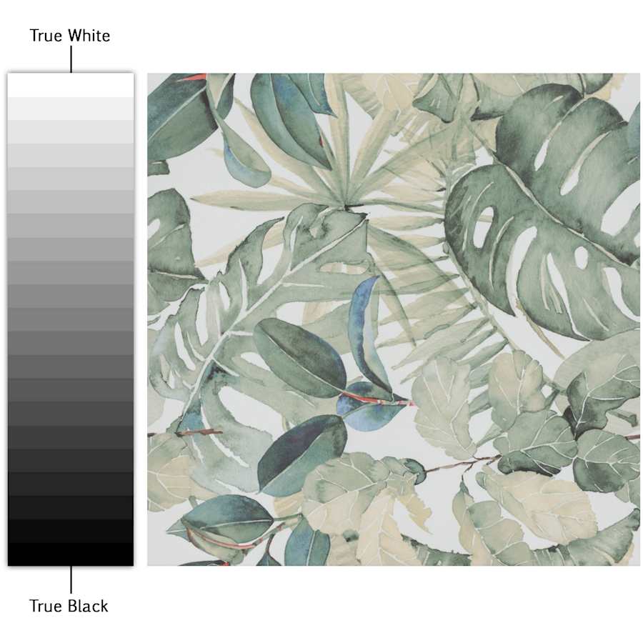 merola-tile-fim19b-alternate-image-1387