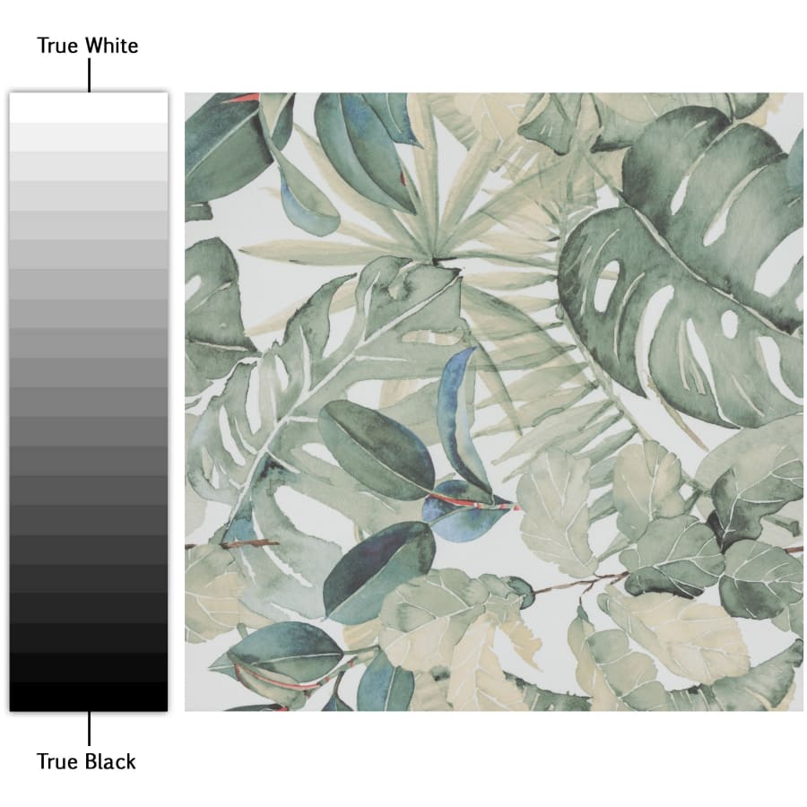 merola-tile-fim19b-alternate-image-1387 merola-tile-fim19b-alternate-image-1387