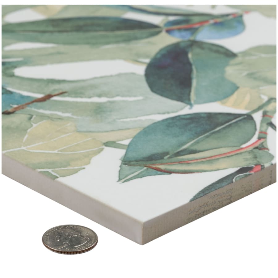 merola-tile-fim19b-alternate-image-1388 merola-tile-fim19b-alternate-image-1388