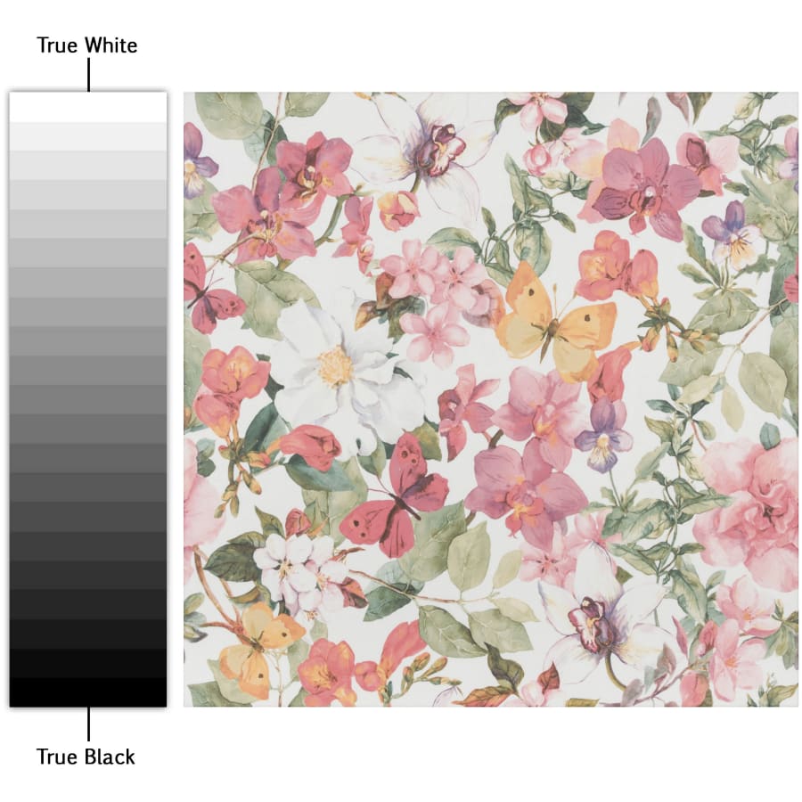 merola-tile-fim19f-alternate-image-1405 merola-tile-fim19f-alternate-image-1405