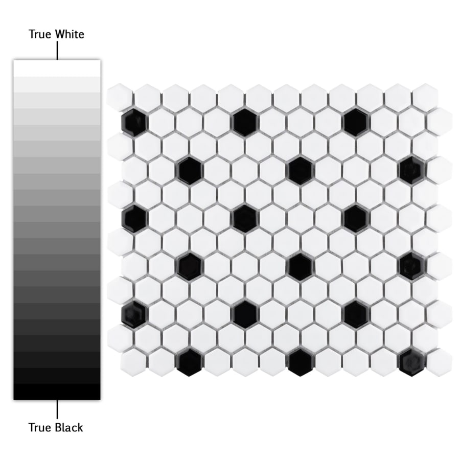 Alternate Image