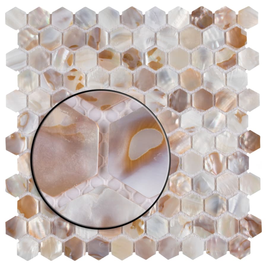merola-tile-gdxchx-shell-alternate-image-1228 merola-tile-gdxchx-shell-alternate-image-1228