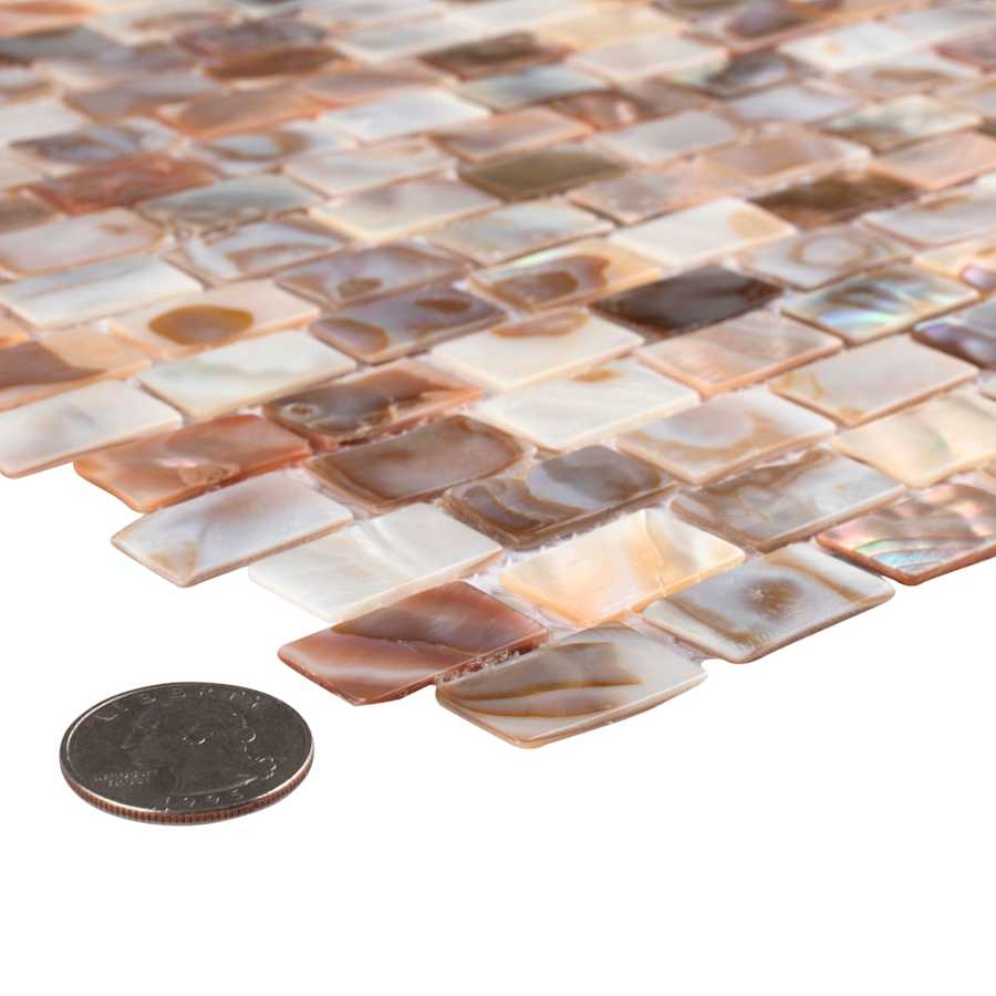 merola-tile-gdxcsw-shell-alternate-image-1248