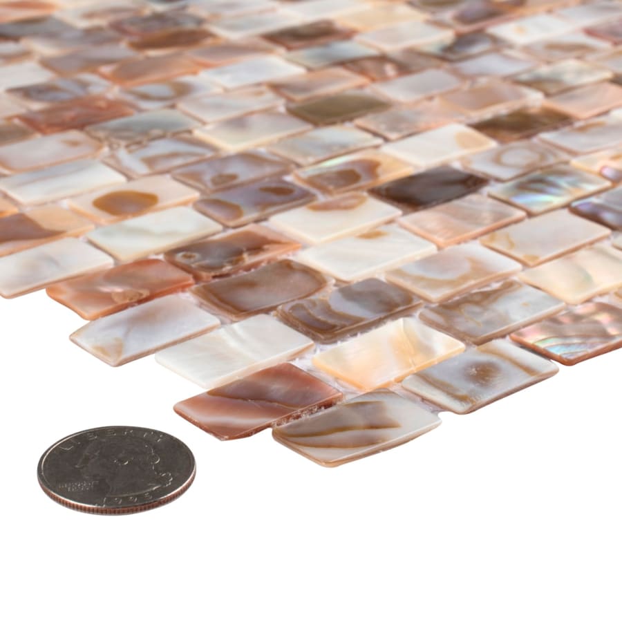 merola-tile-gdxcsw-shell-alternate-image-1248 merola-tile-gdxcsw-shell-alternate-image-1248