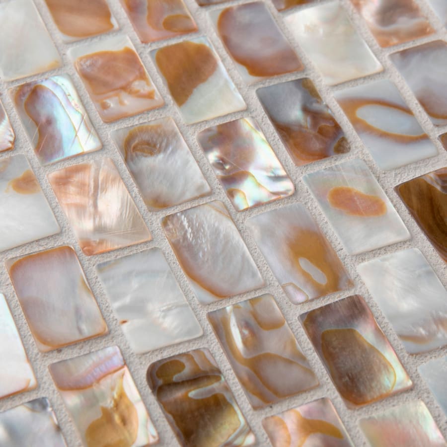 merola-tile-gdxcsw-shell-alternate-image-1250 merola-tile-gdxcsw-shell-alternate-image-1250