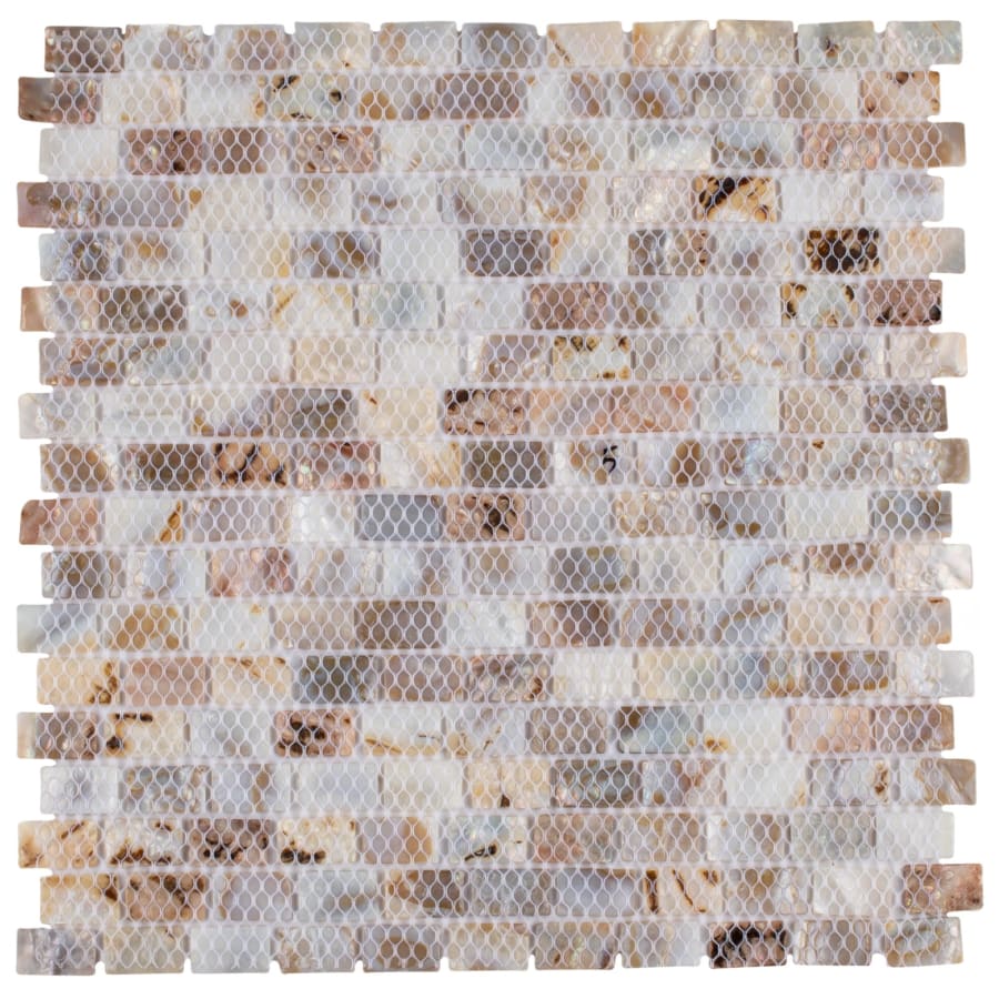 merola-tile-gdxcsw-shell-alternate-image-1253 merola-tile-gdxcsw-shell-alternate-image-1253