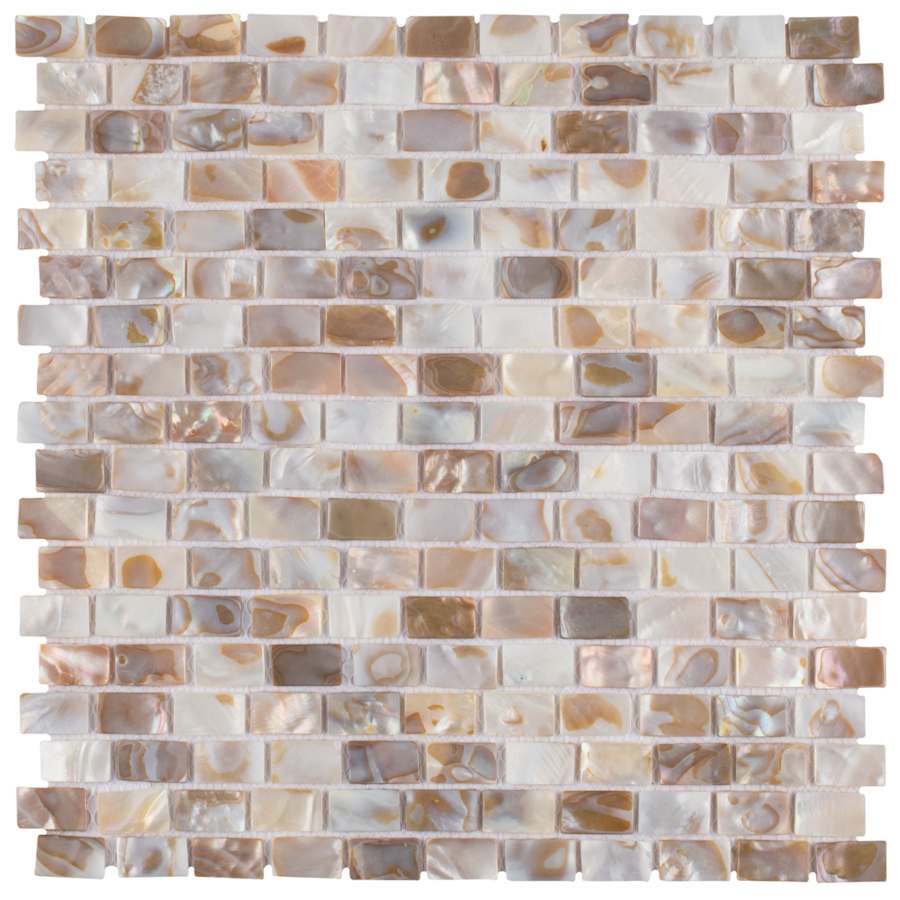 merola-tile-gdxcsw-shell-alternate-image-1254