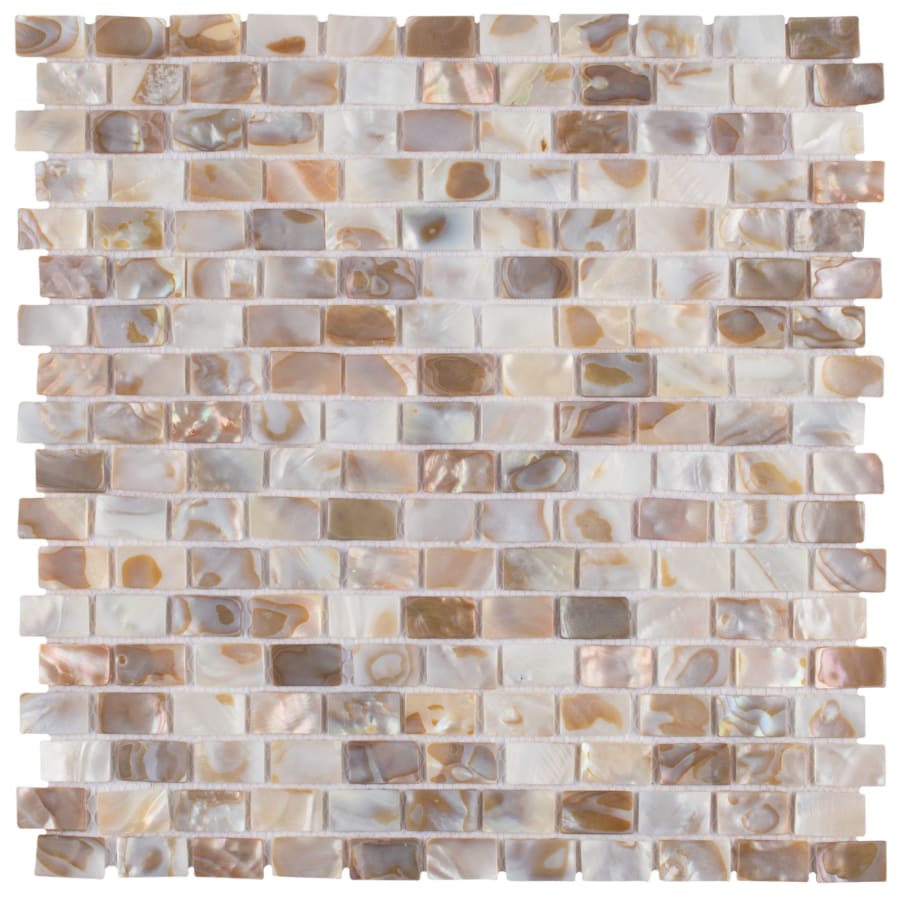 merola-tile-gdxcsw-shell-alternate-image-1254 merola-tile-gdxcsw-shell-alternate-image-1254