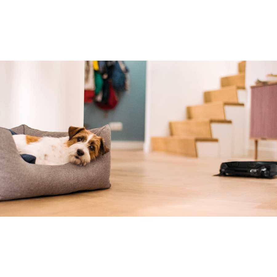 miele-11830120-alternate-image-172