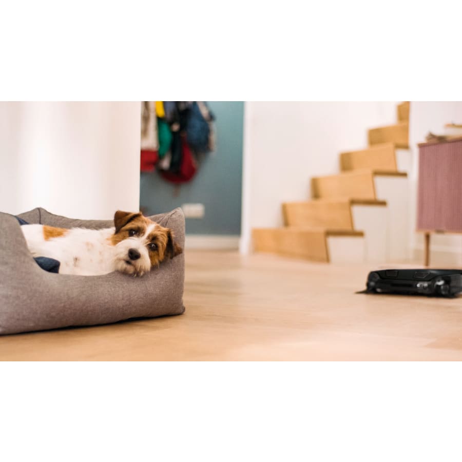 miele-11830120-alternate-image-172 miele-11830120-alternate-image-172