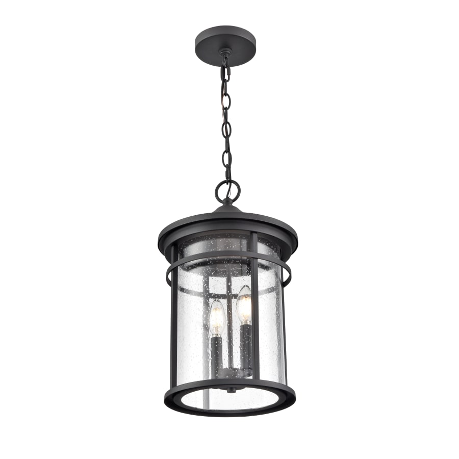 Millennium Lighting 91342-TBK Namath 2 Light 11