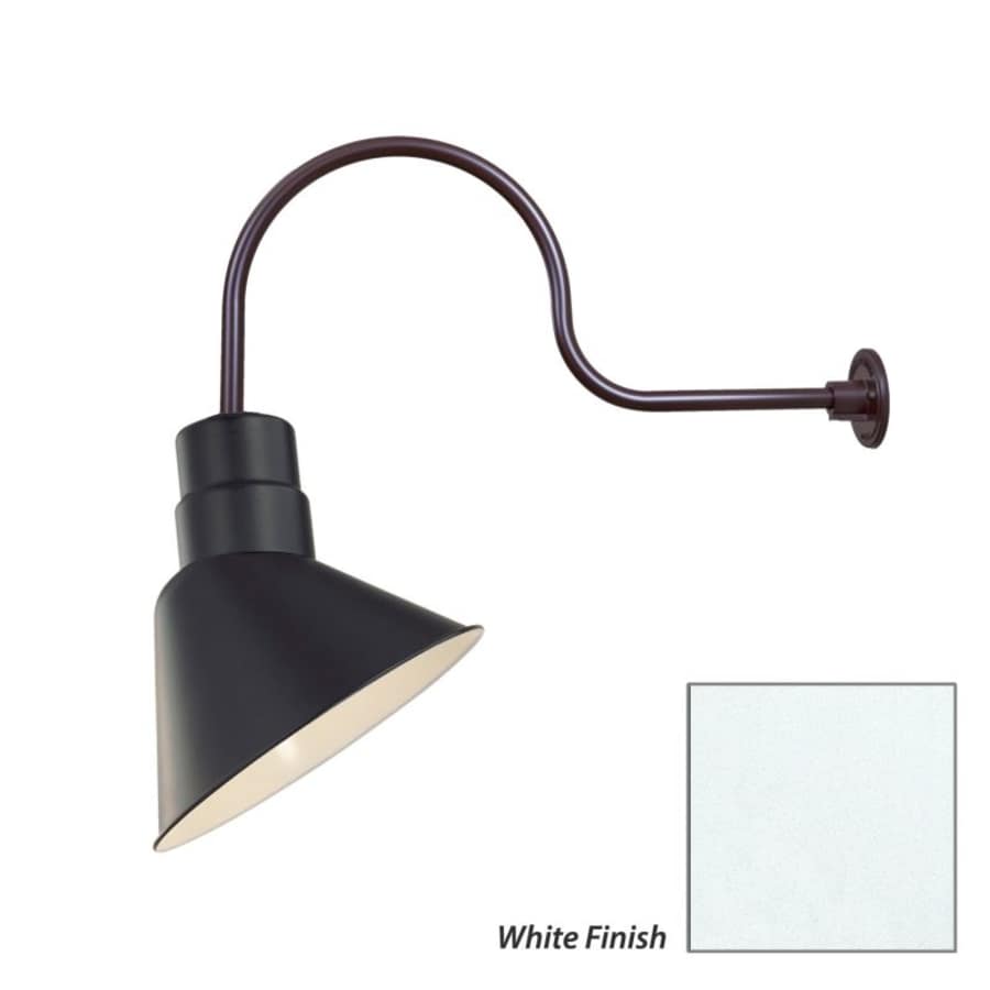 millennium-lighting-ras10-rgn30-fixture-with-white-finish-swatch-26