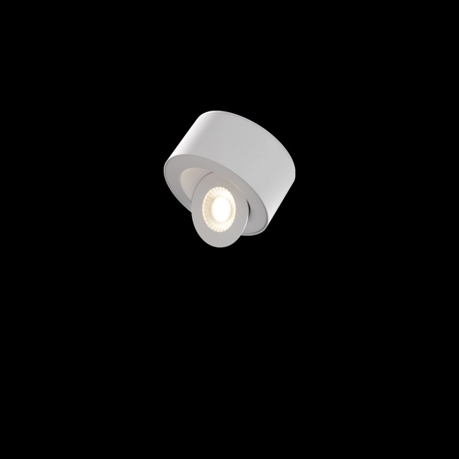 Alternate Image