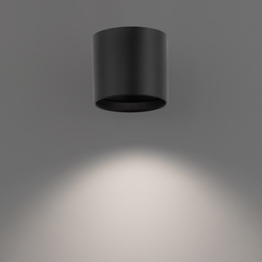 Alternate Image