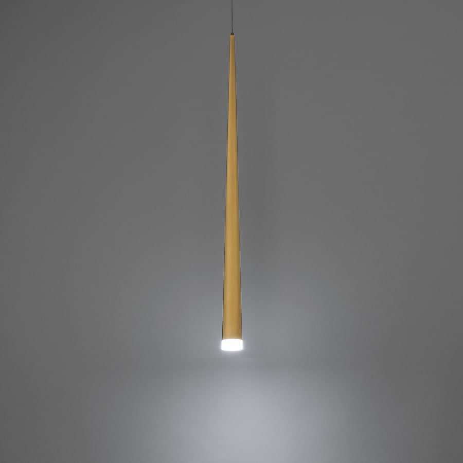 Alternate View