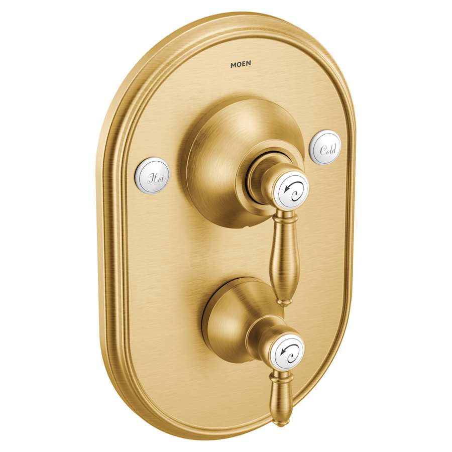 moen-ts32100bg-9170648