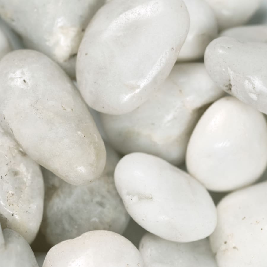 msi-lpebm3pol40-plt-alternate-view-21 msi-lpebm3pol40-plt-alternate-view-21