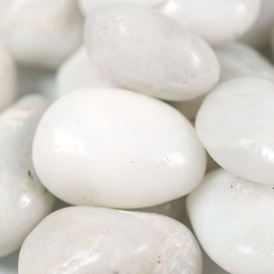 msi-lpebm3pol40-plt-alternate-view-22