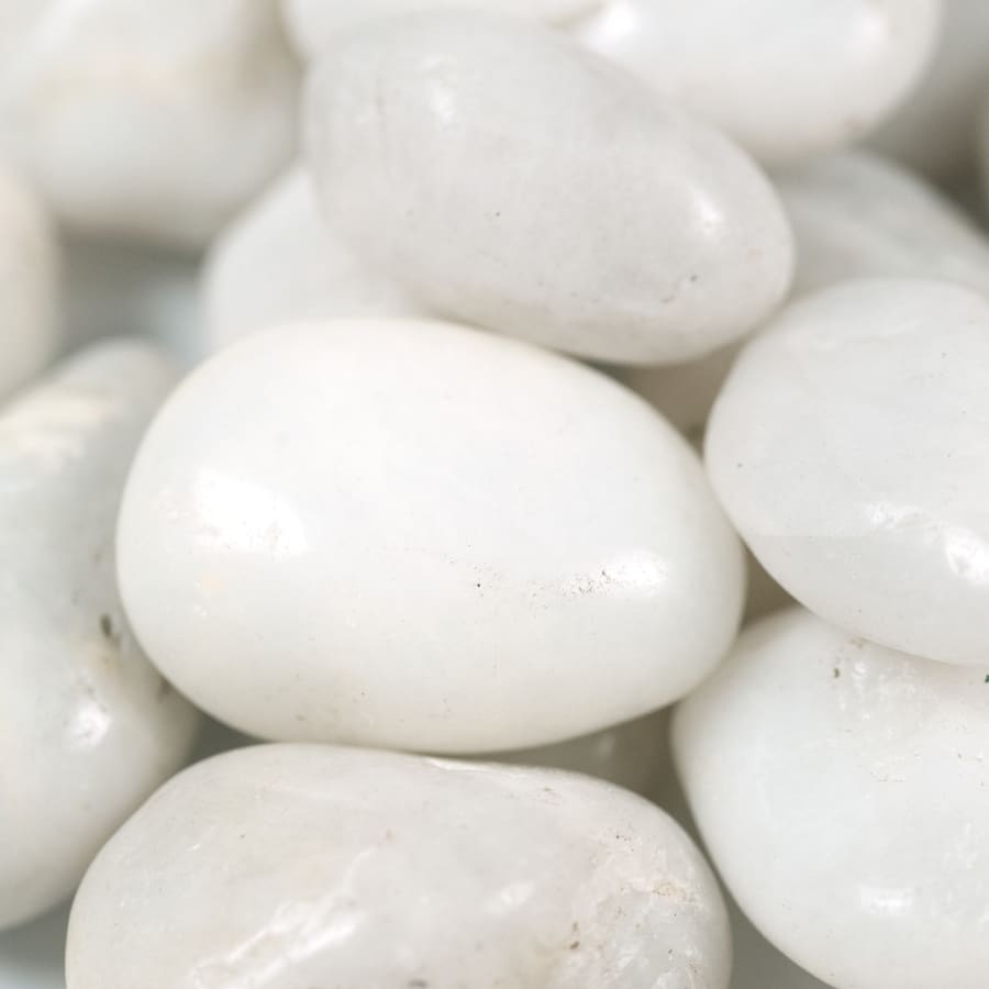 msi-lpebm3pol40-plt-alternate-view-22 msi-lpebm3pol40-plt-alternate-view-22