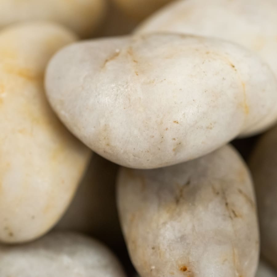 msi-lpebm5pol40-plt-alternate-view-29 msi-lpebm5pol40-plt-alternate-view-29