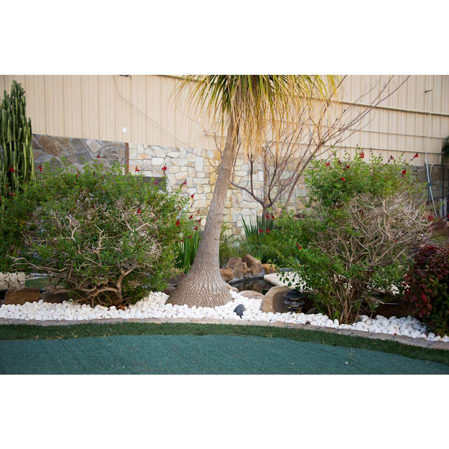 msi-lpebm5pol40-plt-alternate-view-31