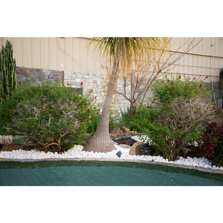 msi-lpebm5pol40-plt-alternate-view-31 msi-lpebm5pol40-plt-alternate-view-31