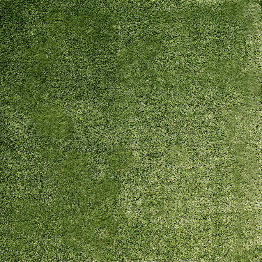 msi-ltrfpeme7-5x10-38mm76oz-sample-3572809 msi-ltrfpeme7-5x10-38mm76oz-sample-3572809