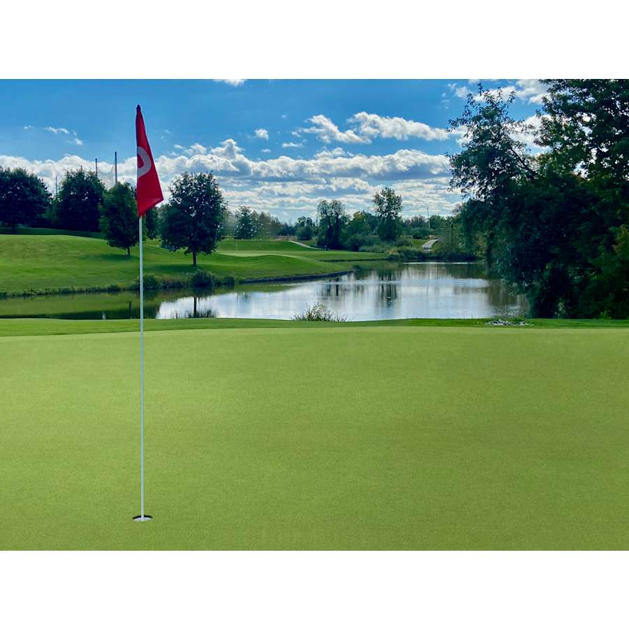 msi-ltrfr15x100-16mm78oz-alternate-image-188