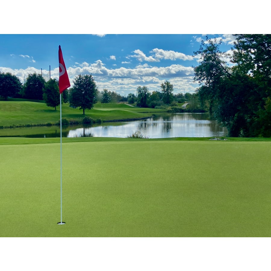 msi-ltrfr15x100-16mm78oz-alternate-image-188 msi-ltrfr15x100-16mm78oz-alternate-image-188