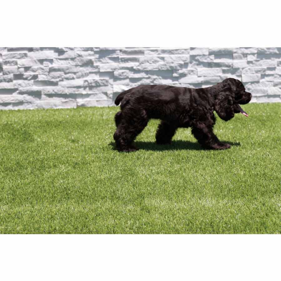 msi-ltrfr15x100-40mm76oz-alternate-image-152