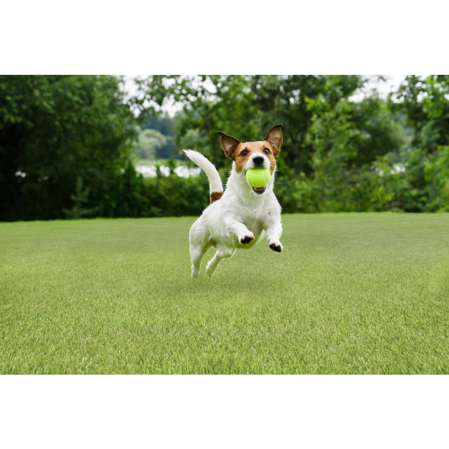 msi-ltrfr15x100-40mm76oz-alternate-image-161 msi-ltrfr15x100-40mm76oz-alternate-image-161